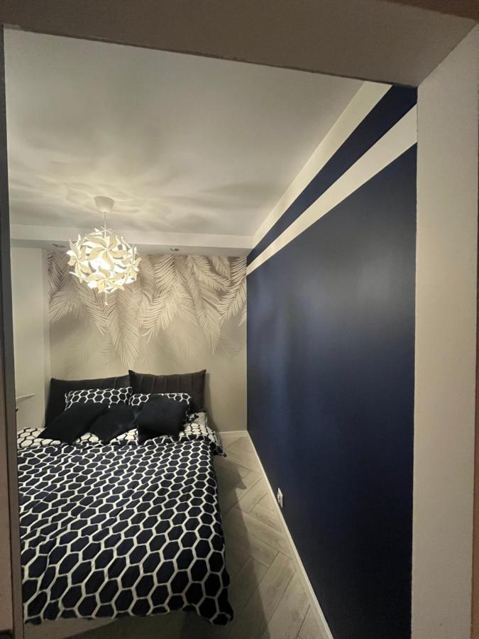 Апартаменти Apartament Panewnicka Катовіце Екстер'єр фото