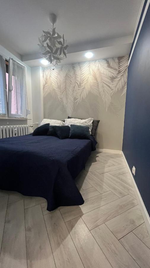 Апартаменти Apartament Panewnicka Катовіце Екстер'єр фото