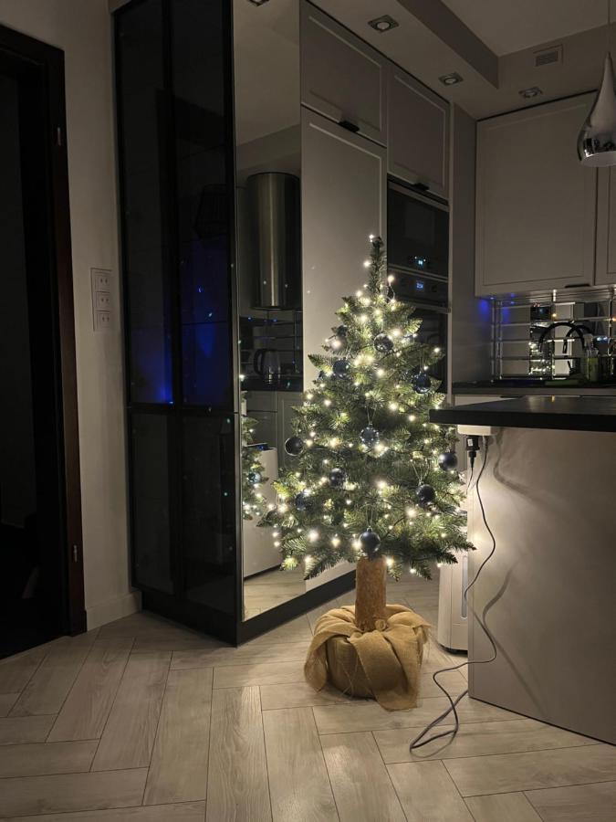 Апартаменти Apartament Panewnicka Катовіце Екстер'єр фото